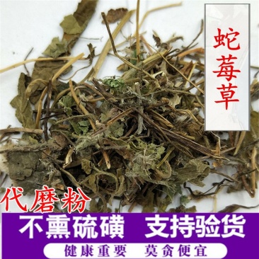 蛇莓草蛇莓供应上千种中药材