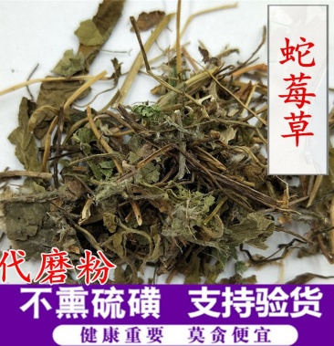 蛇莓草蛇莓供应上千种中药材