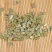 木贼供应上千种中药材