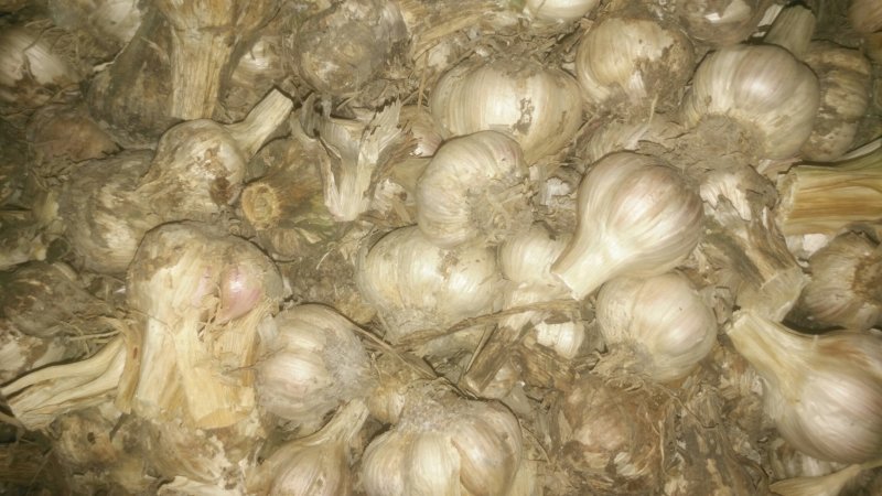 蔬菜