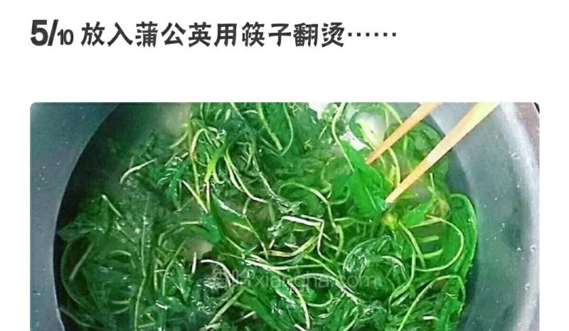 长白山野生蒲公英婆婆丁顺丰二斤包邮