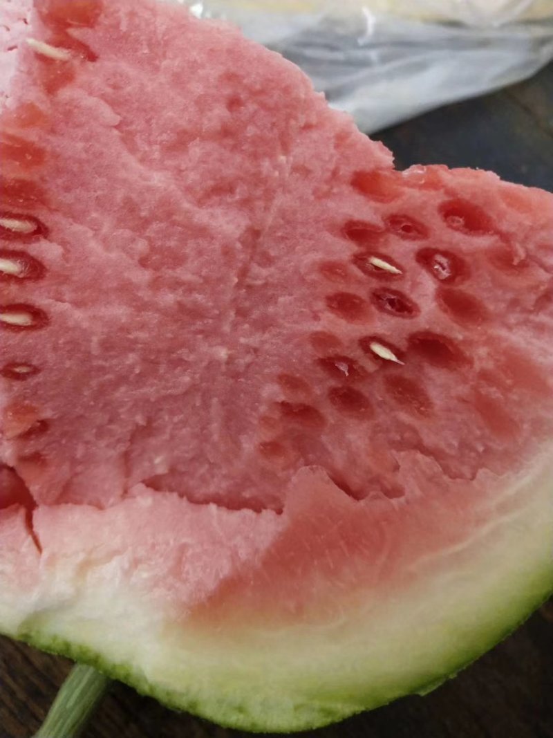8424