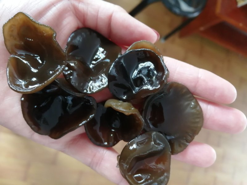 黑木耳大量批发零售各种黑木耳，质量好价格低，欢迎各位老板