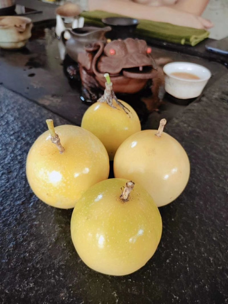 海南黄金百香果，果皮好，皮包，品质好现在热卖中正在招代发