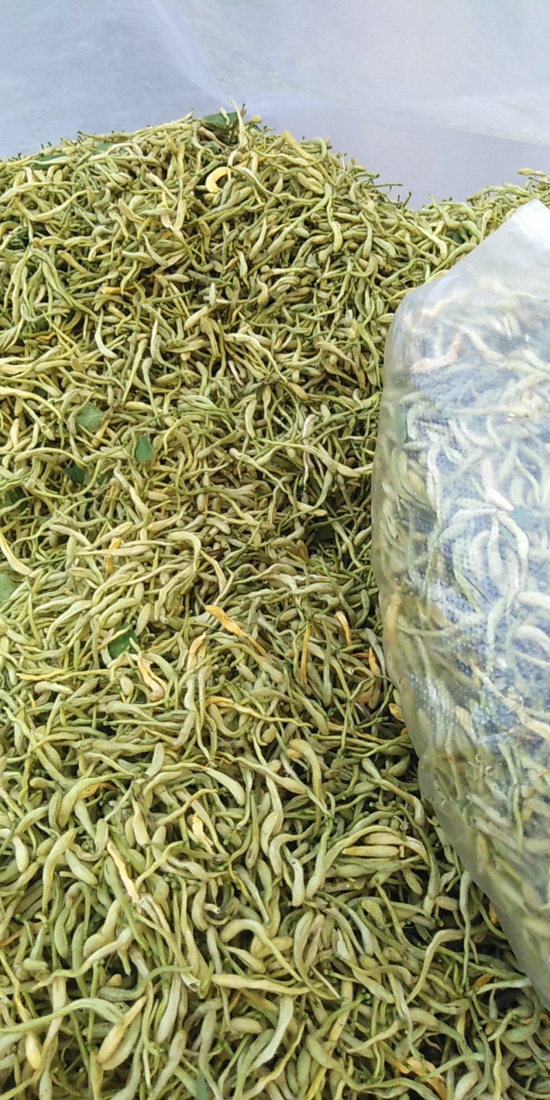 产地各种金银花供应质量好价格优