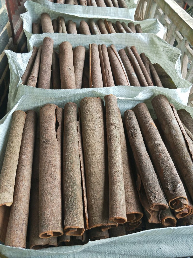 广西桂皮中通桂厂水洗中通