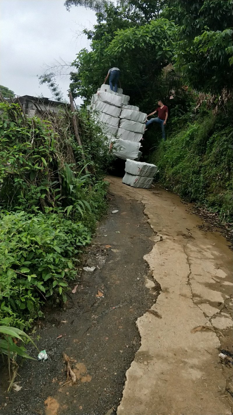 广西桂皮中通桂厂水洗中通