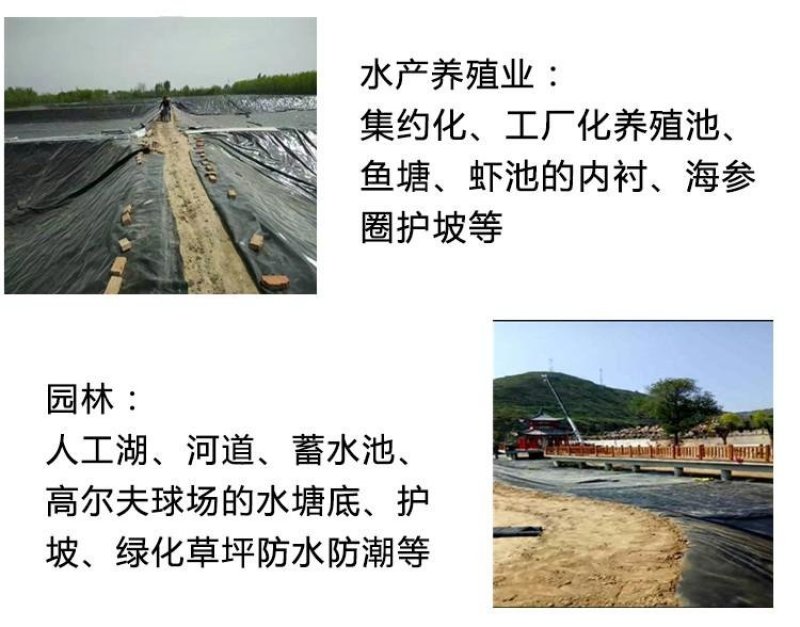 厂家供应泥鳅养殖防渗膜,虾池防渗膜,甲鱼养殖膜免费寄样