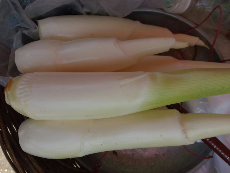 茭白