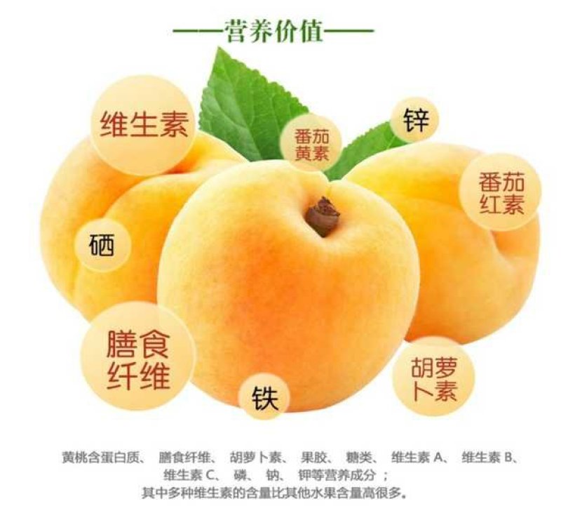 麻阳高山黄挑