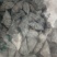 鬼见愁菱角一公斤起卖包邮