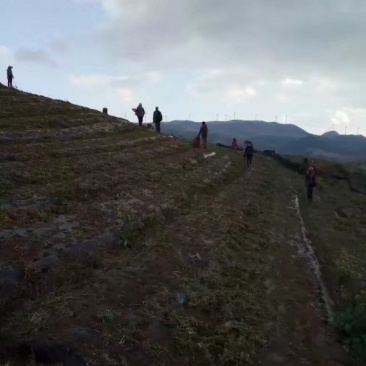 山地出租，水源多的地还有一百多亩