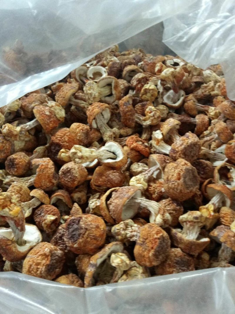 优质姬松茸干货，量大从优，质量保证，服务到位！！