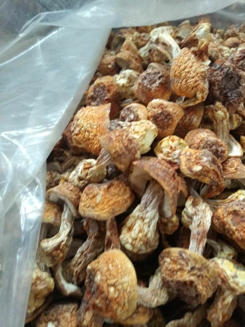 优质姬松茸干货，量大从优，质量保证，服务到位！！