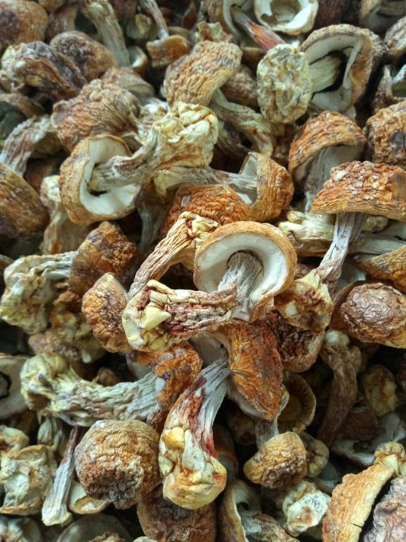 优质姬松茸干货，量大从优，质量保证，服务到位！！
