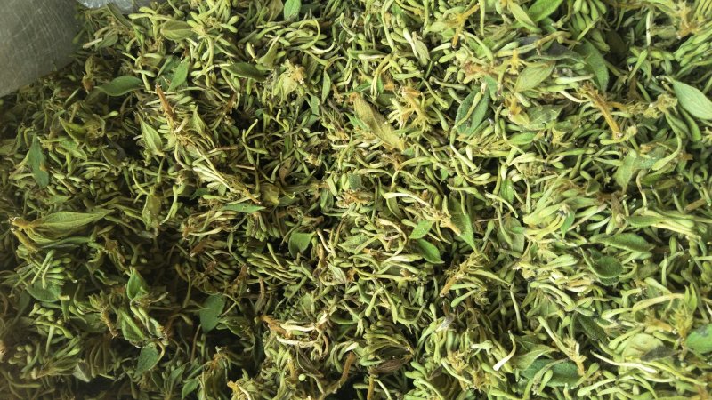 金银花，零售，物流发货，大货装车，贵州山银花。