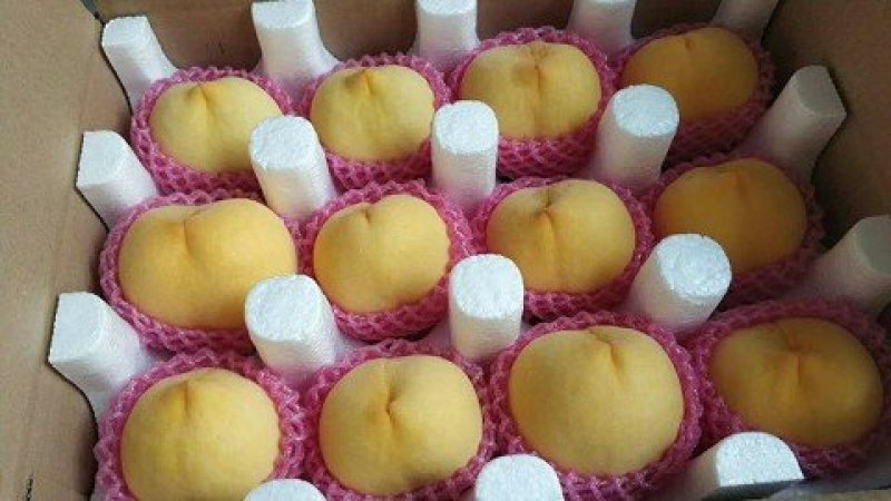 预售山东蒙阴纯甜大黄桃5斤装精选大果，7月发货