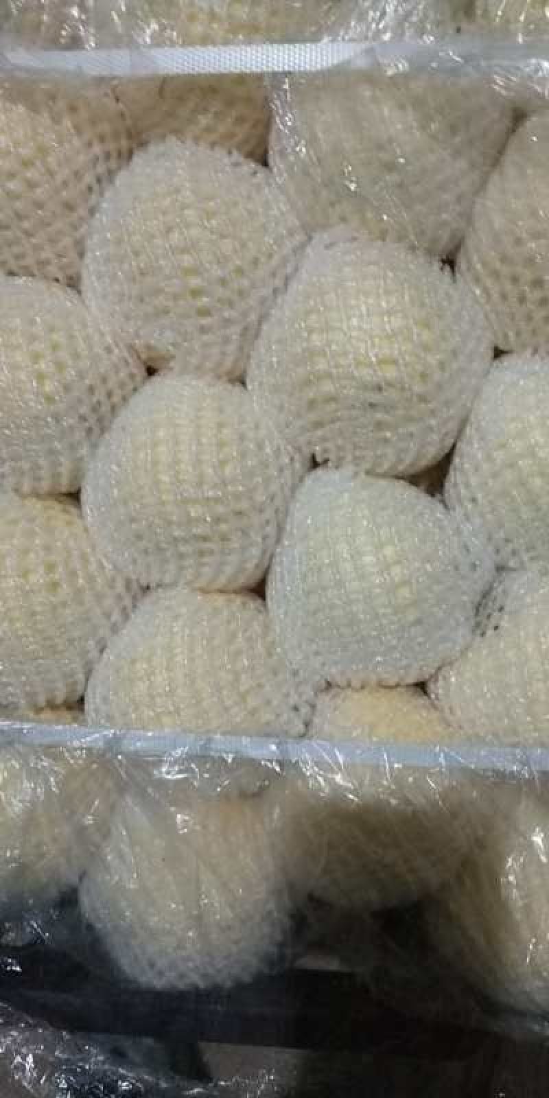 各种水果