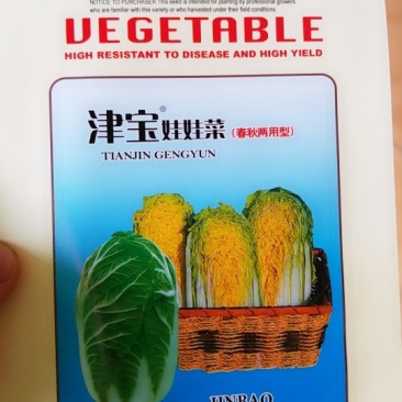 娃娃菜种子牛商推荐量大从优