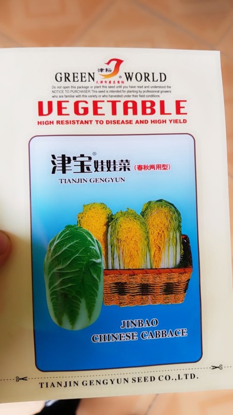 娃娃菜种子牛商推荐量大从优