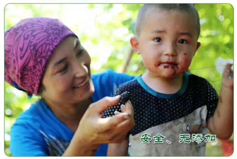 吐鲁番桑葚干