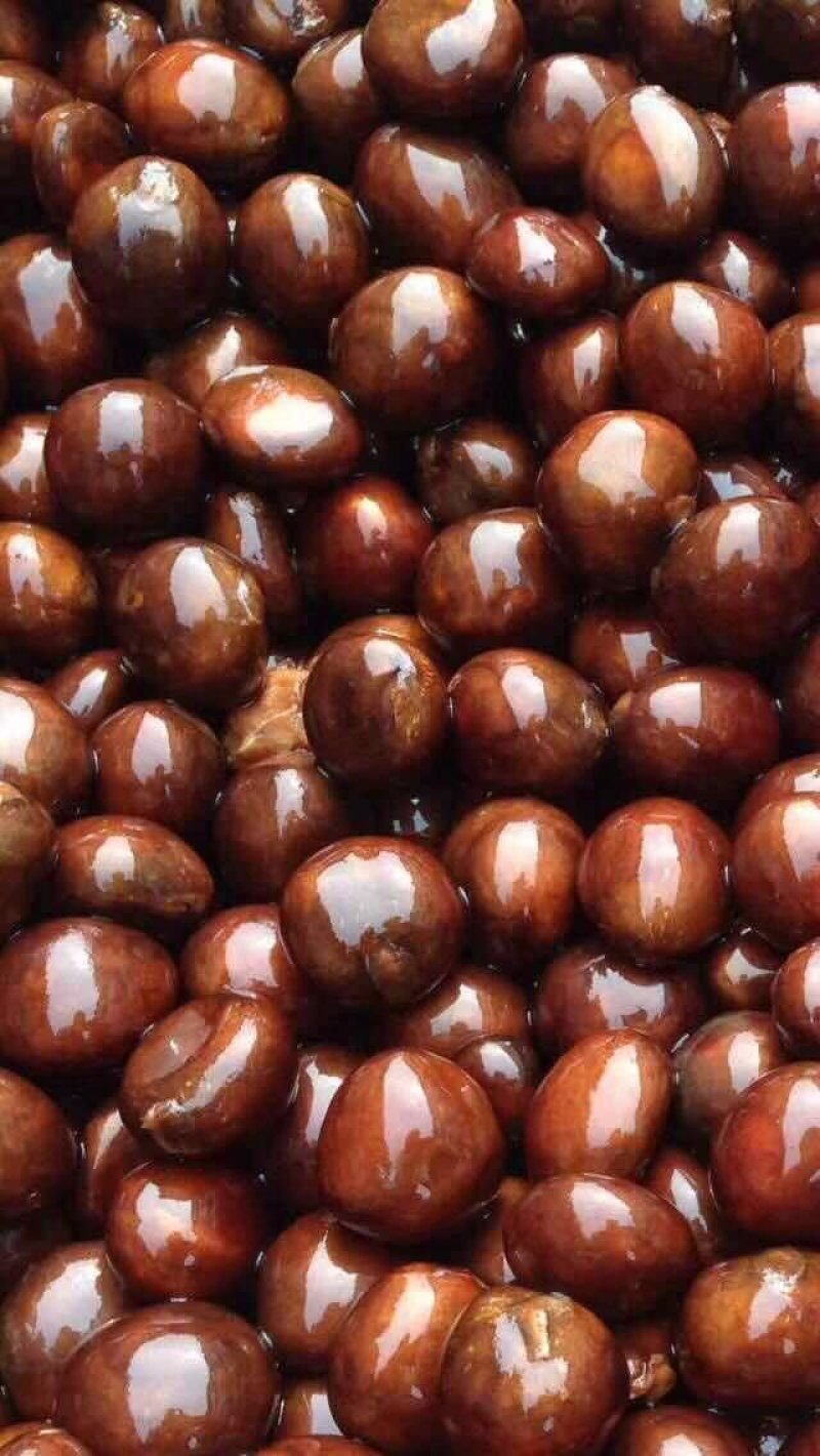 供应枇杷种子枇杷树种子枇杷果树种子枇杷苗占地种子