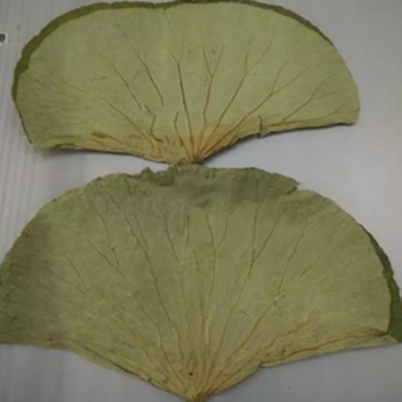 荷叶茶