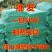 荷叶茶