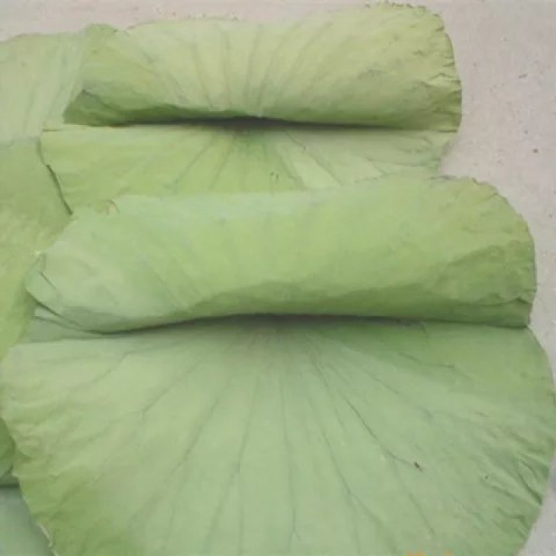 荷叶茶