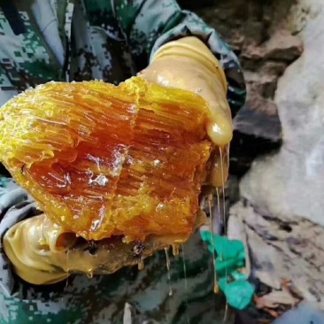 野生蜂蜜，