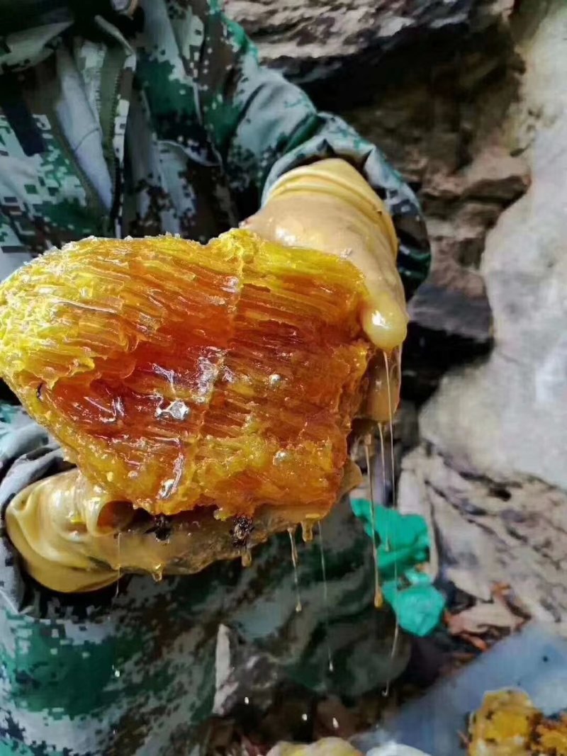 野生蜂蜜，