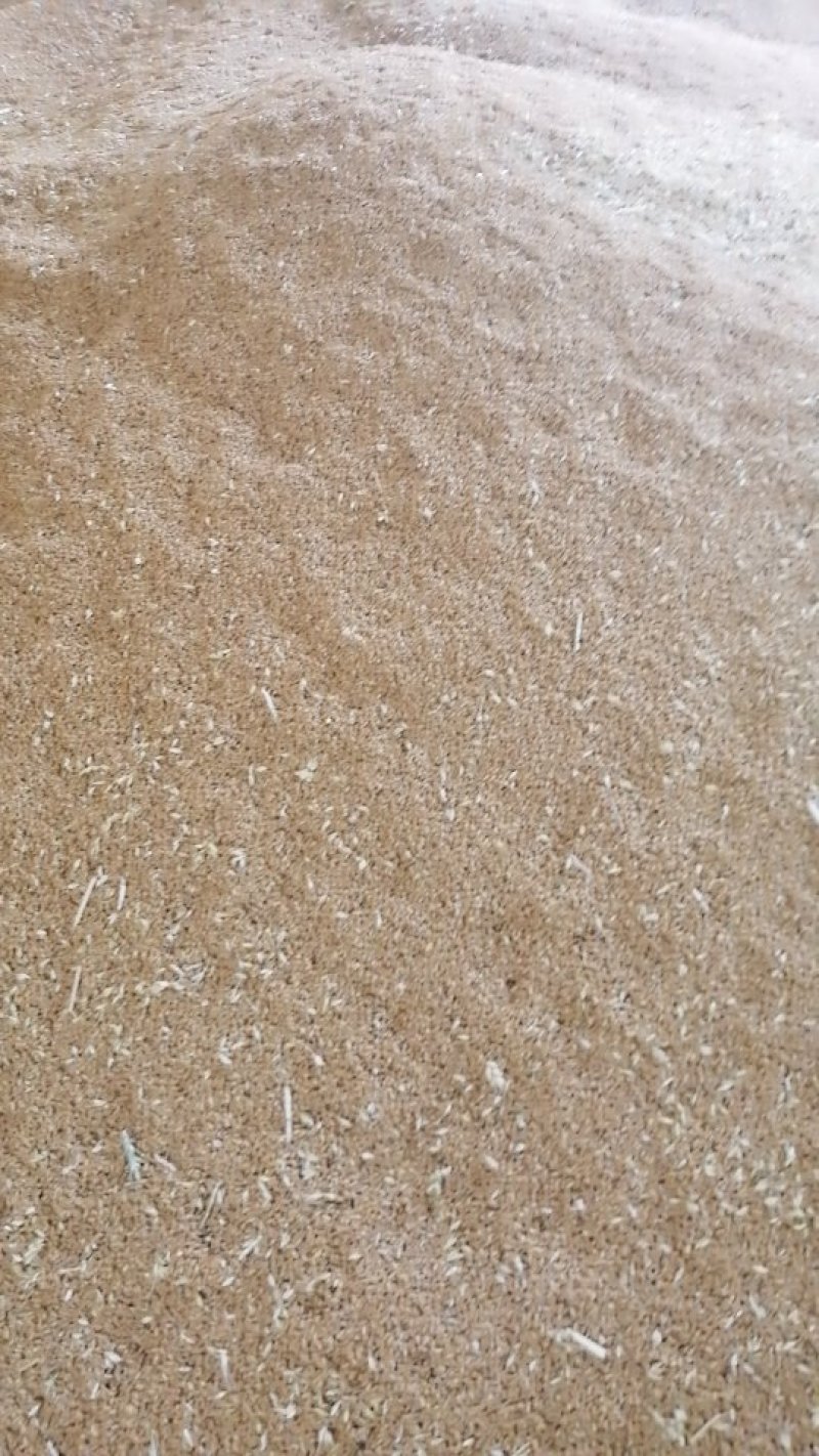 小麦