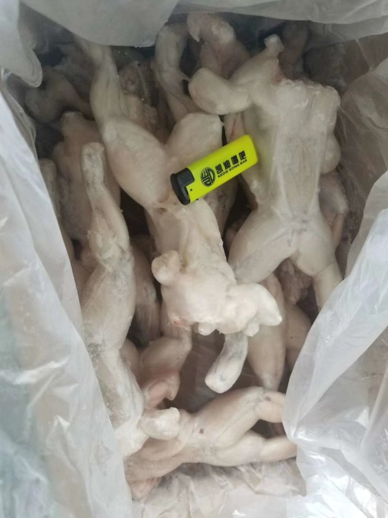 速冻牛蛙，一件十斤，长期有货，欢迎朋友们前来订货