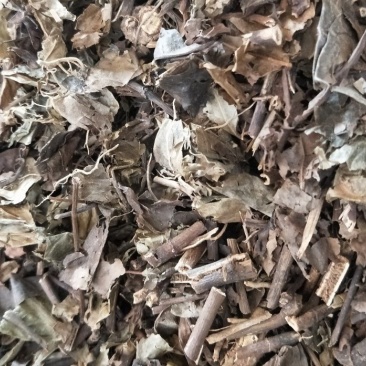 肿节风新货肿节风干净无杂货干大货批发零售