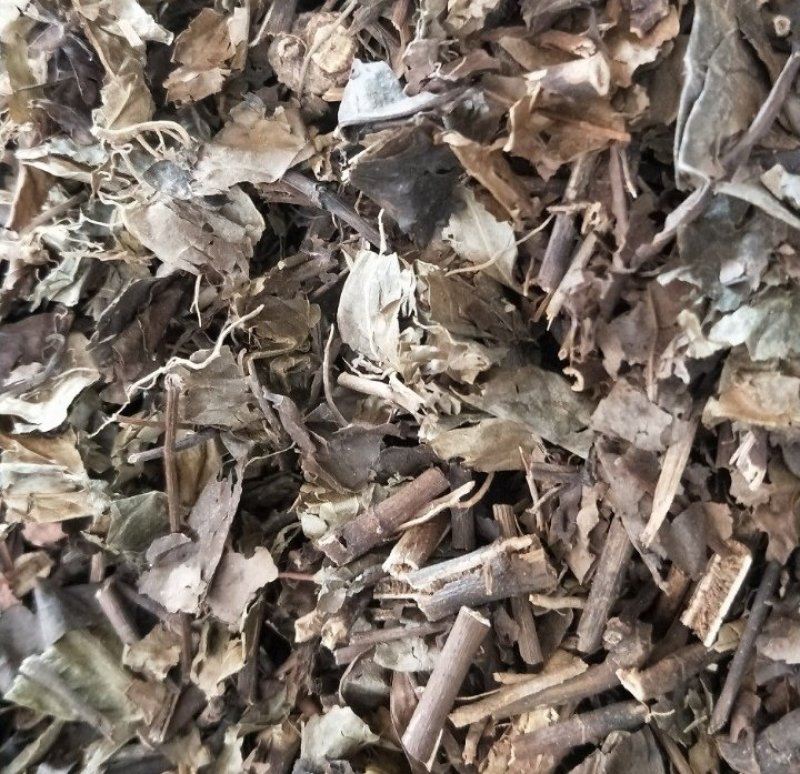 肿节风新货肿节风干净无杂货干大货批发零售