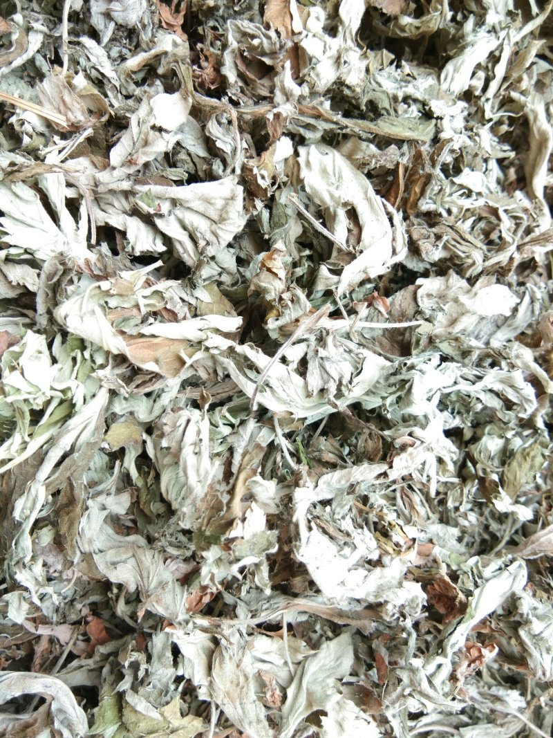 湖北十堰野生大叶艾软包，传供超市网店出售