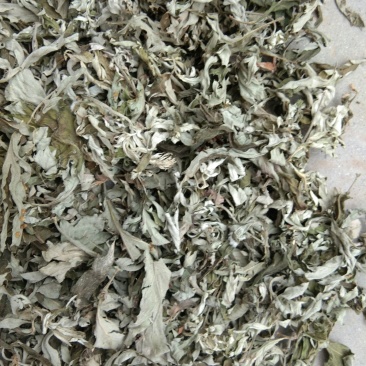 湖北十堰野生大叶艾软包，传供超市网店出售