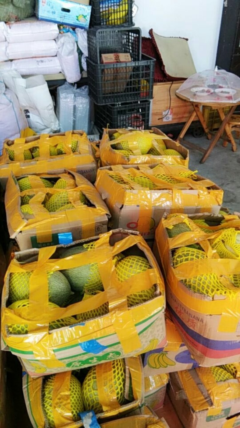 哈蜜瓜，红旗一号