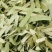 荷叶微山湖荷叶丝野生天然干荷叶块正品无硫无添青荷叶