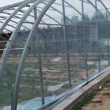 几字钢大棚质量怎么样多少钱一平