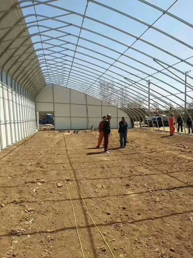几字钢大棚质量怎么样多少钱一平