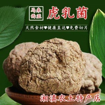 虎奶菇片虎乳菌马来西亚食用菌盒装500g男女通用