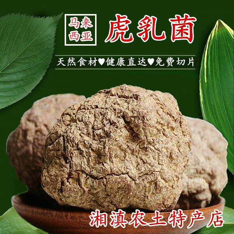 虎奶菇片虎乳菌马来西亚食用菌盒装500g男女通用包邮