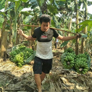 香蕉