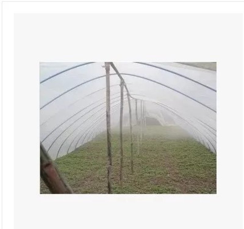 地膜农用塑料薄膜胶布全新料蔬菜种植白色地膜保温建筑膜