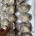乳山生蚝，不肥包退，精品