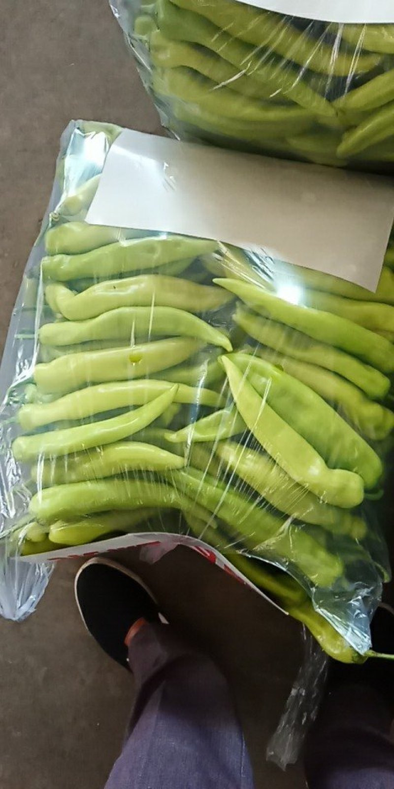 河北省邯郸市永年精品尖椒大量供应中可供超市