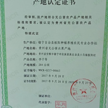 四月李蜂糖李