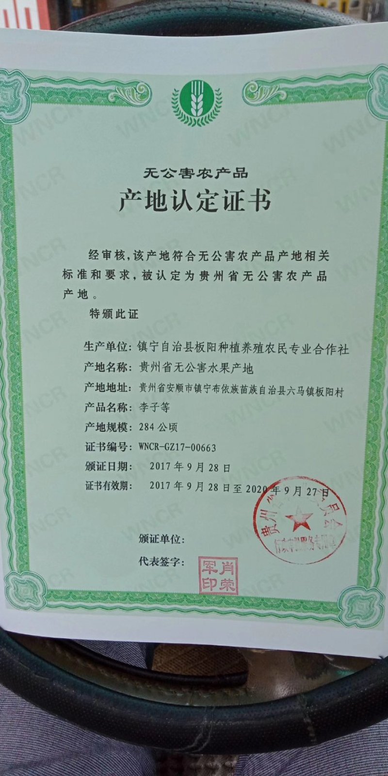 四月李蜂糖李