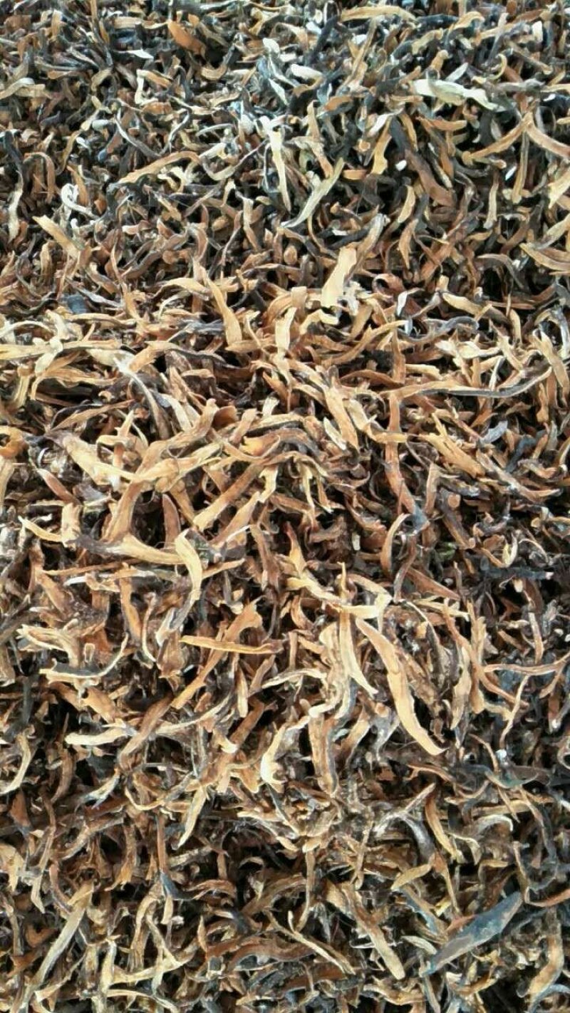 骨碎补骨碎补骨碎补骨碎补